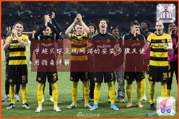 中超买球正规网站的安装步骤及使用指南详解
