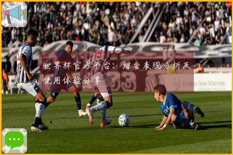 世界杯官方平台：综合表现分析及使用体验分享